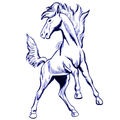 Mustangs mascot photo.