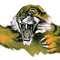 Tigers mascot photo.