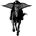 Pharr-San Juan-Alamo North logo