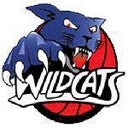 Indianapolis HomeSchool Wildcats
