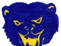 Wolverines mascot photo.