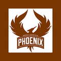 Phoenix mascot photo.