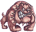 Bulldogs mascot photo.
