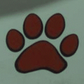 Panda Bears mascot photo.