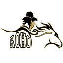 Rider logo