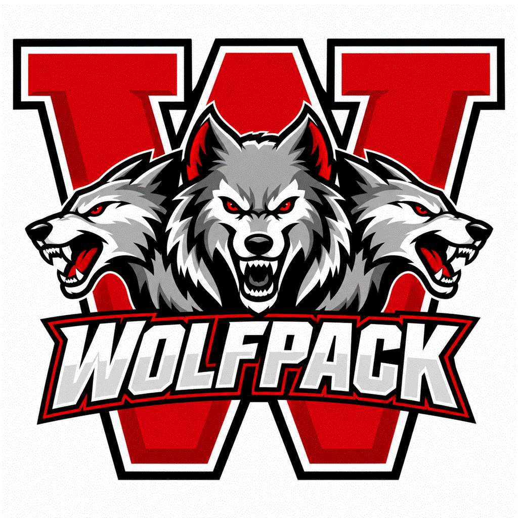 Volleyball Recap: Woodland Takes Down East Jackson in a Playoff Battle ...