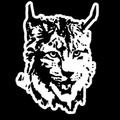 Lynx mascot photo.