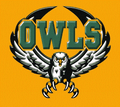 Owls mascot photo.