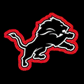 Lions mascot photo.