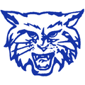 Wildcats mascot photo.