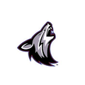 Coyotes mascot photo.