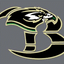 N Richland Hills Birdville logo