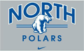 Polars mascot photo.