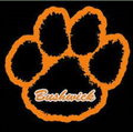 Tigers mascot photo.