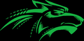 Marauders mascot photo.