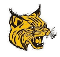 Wildcats mascot photo.