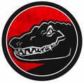 Gators mascot photo.