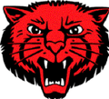 Wildcats mascot photo.