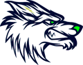 Irish Wolfhounds mascot photo.