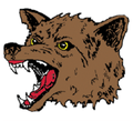 Coyotes mascot photo.