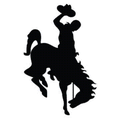 Buckaroos mascot photo.