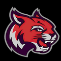 Wildcats mascot photo.