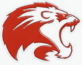 Lions mascot photo.