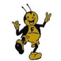 Goldbugs mascot photo.