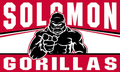 Gorillas mascot photo.