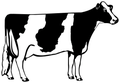 Holsteins mascot photo.
