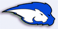 Lions mascot photo.