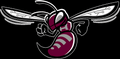 Hornets mascot photo.