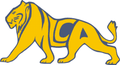 Lions mascot photo.