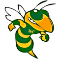 Stingers mascot photo.