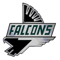 Falcons mascot photo.