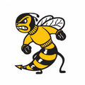 Yellow Jackets mascot photo.