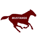 Mustangs mascot photo.