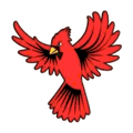 Cardinals mascot photo.