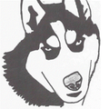 Huskies mascot photo.