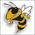 Yellowjackets mascot photo.