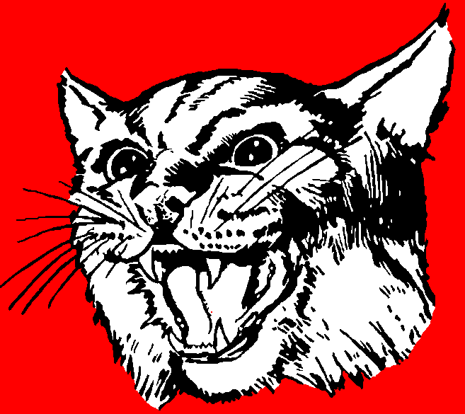 Madilynn Vuncannon High School Girls Basketball Stats Walnut (Walnut, MS) MaxPreps