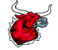 Longhorns mascot photo.