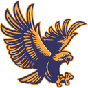 Channelview logo
