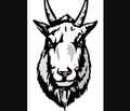 Mountain Goats mascot photo.