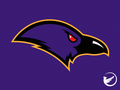 Ravens mascot photo.