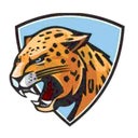 Law Government & Justice