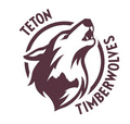 Timberwolves mascot photo.