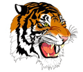 Tigers mascot photo.