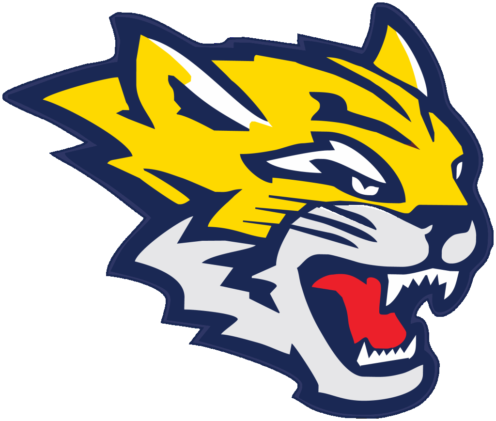 Tanner Wilson High School Football Stats Sunnyside (Fresno, CA) MaxPreps