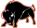 Bison mascot photo.